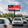 noclezenka